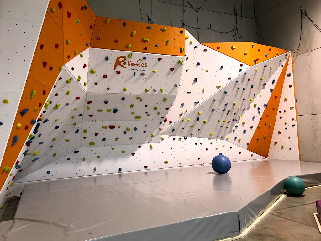 WISECLIMB - Rocodromo