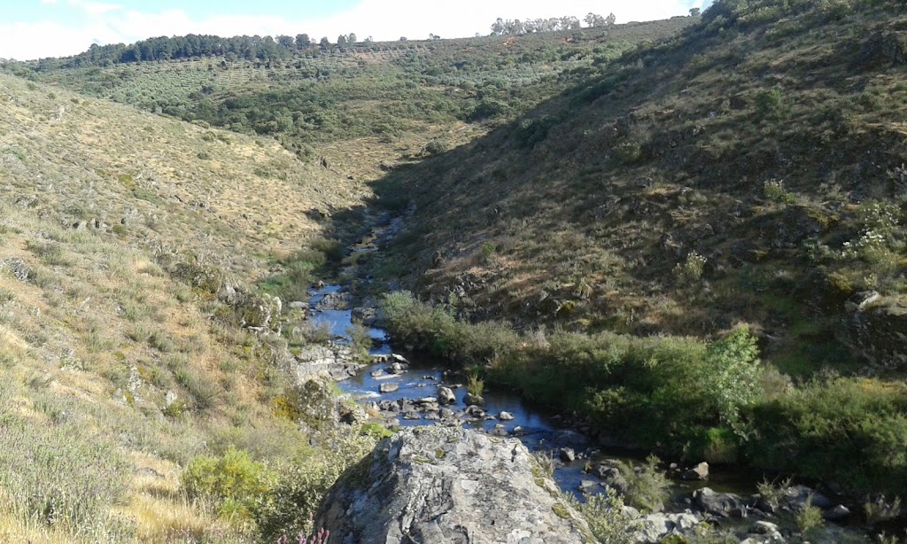 Hoces del rio Estenilla