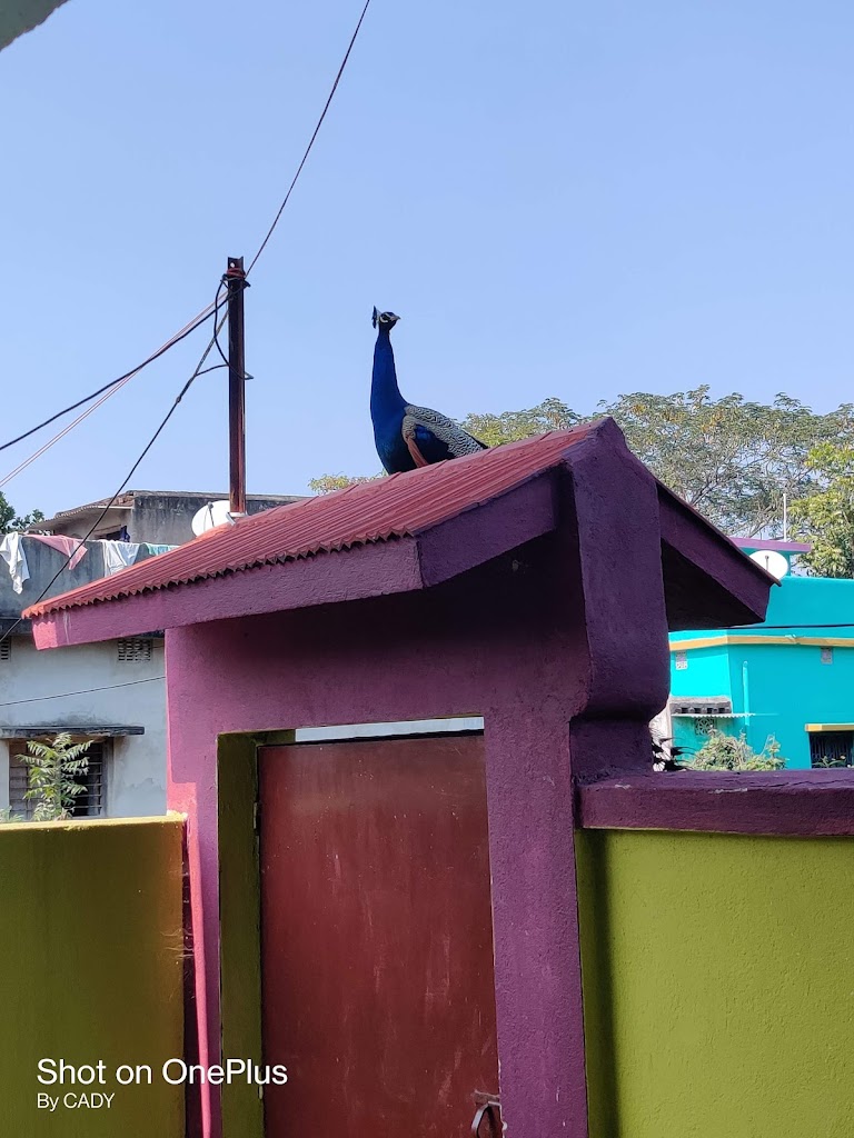 Deepjyoti Home Stay