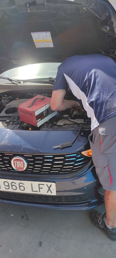 Automocion Pinero Peinado