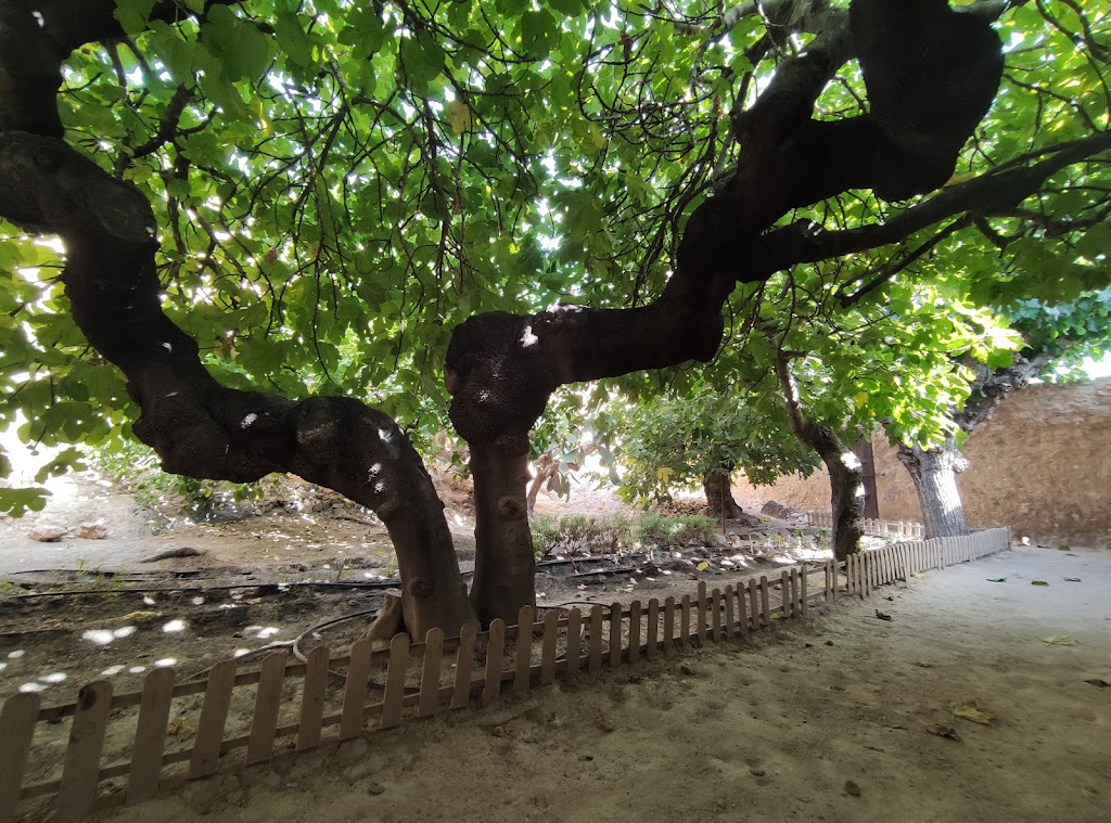 Fundacion Cultural Miguel Hernandez