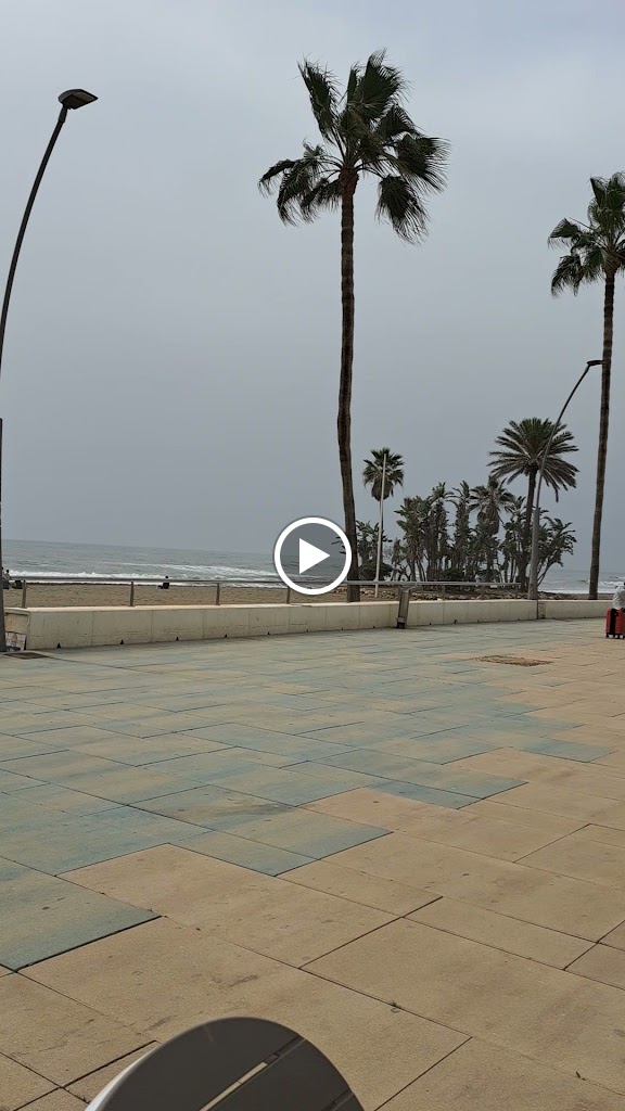 Paralelo 36 GastroBeach - Restaurante frente a la playa en Estepona, Terraza, Comida y Bebida — Videos