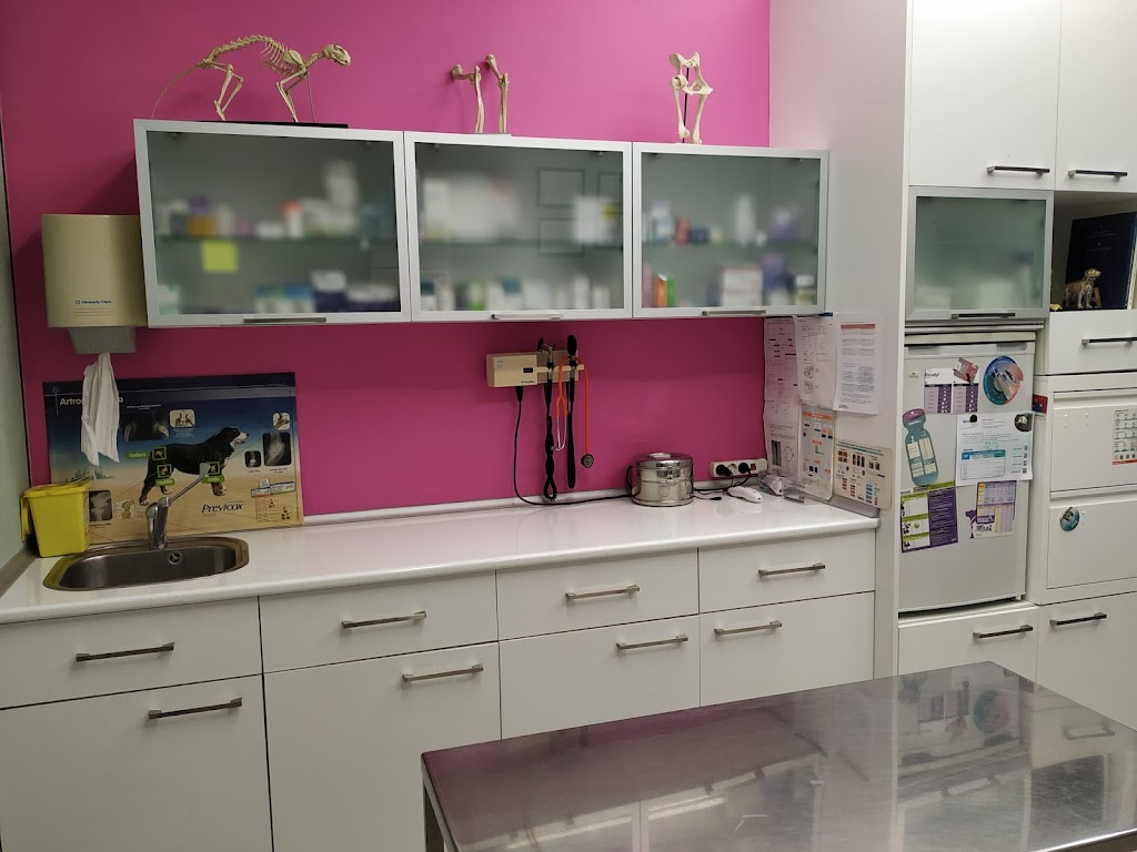 Clinica Veterinaria Leialak