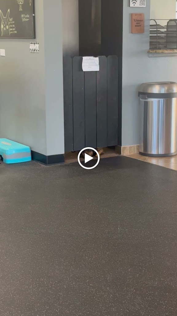  Evolve Fitness Club 24/7 Appleton