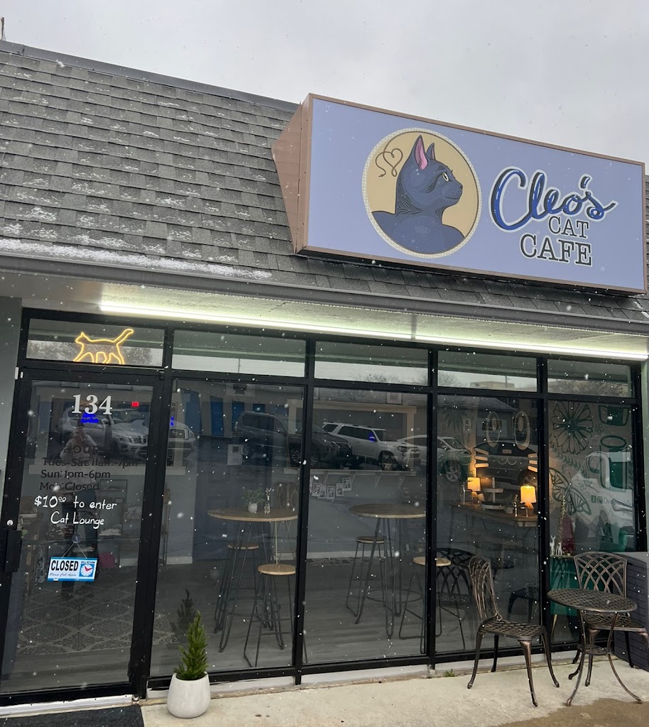 Photo of Cleo's Cat Cafe