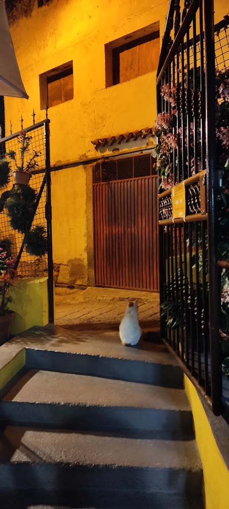Guachinche M Chela — Ambiente
