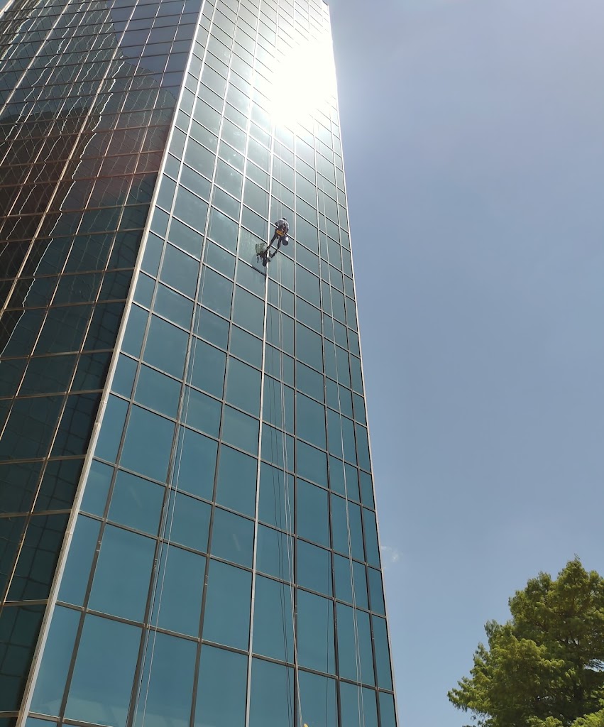 Pro Window Cleaning and Pressure Washing