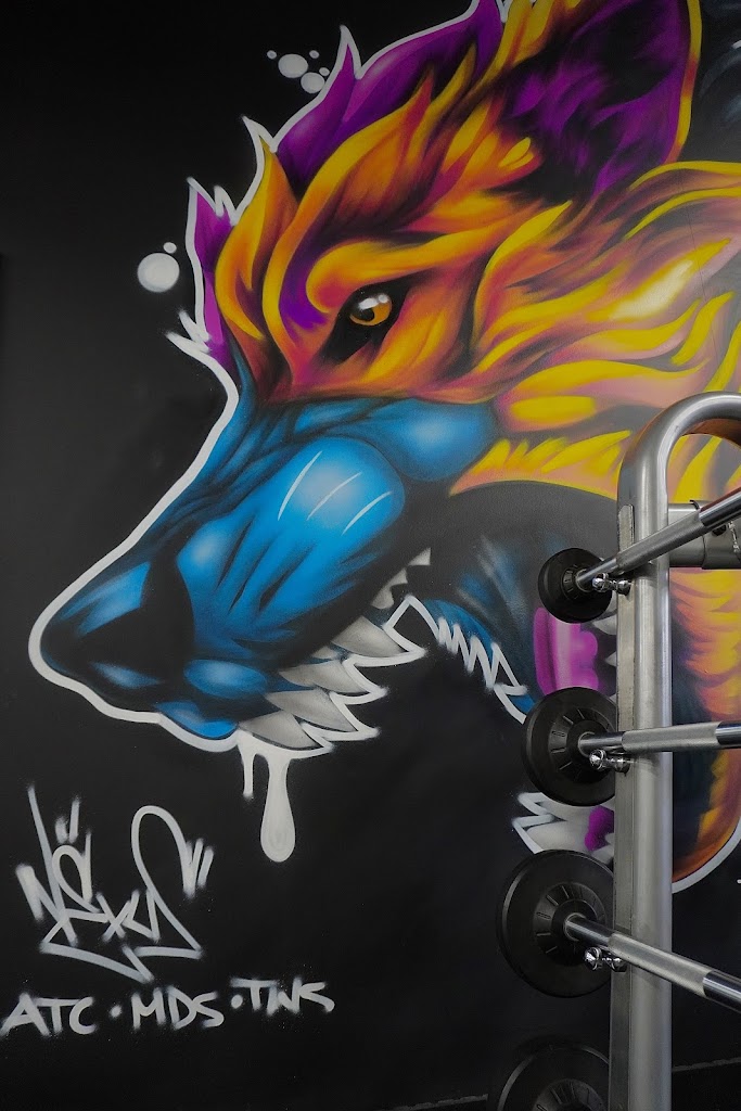  WOLF Fitness Absecon