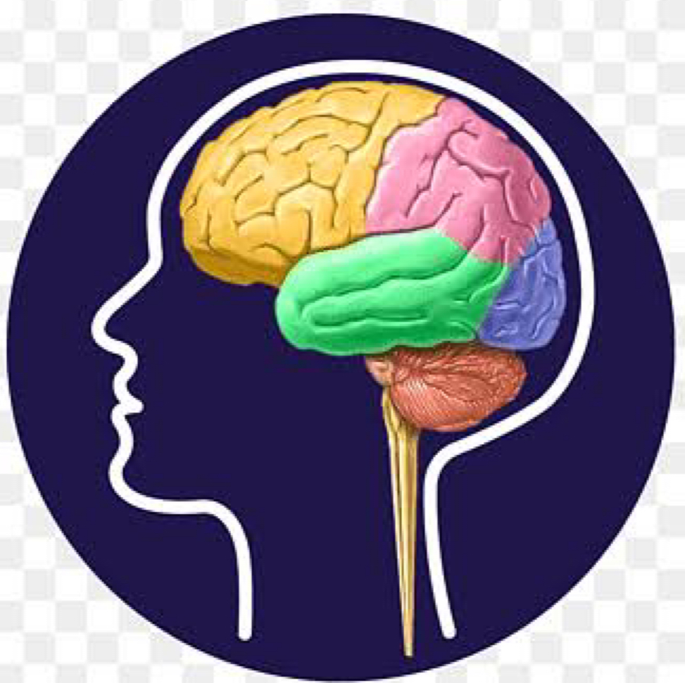 Dr. Dr Sukriti Mukherjee M B B S Cnmch Kolkata Md Psychiatry Ex Sr Nimhans Bengaluru Best Brain Doctor