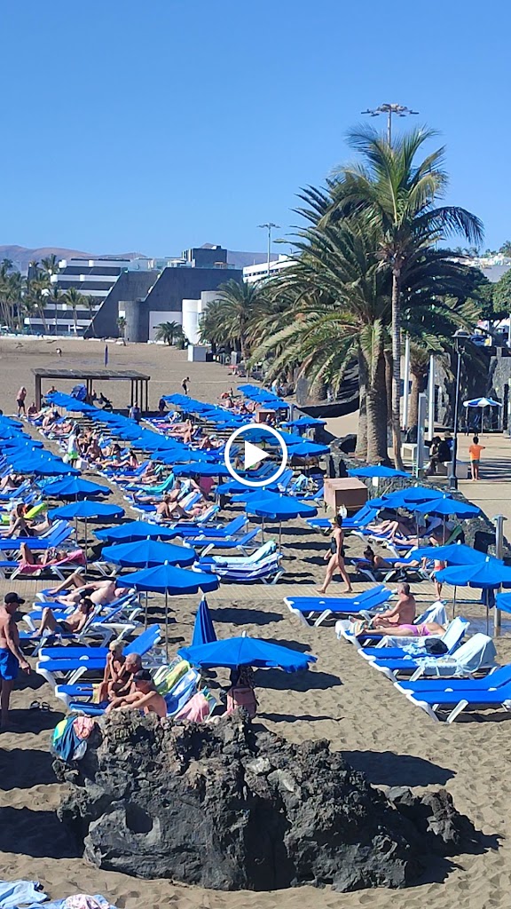Bar The Sea View — Videos