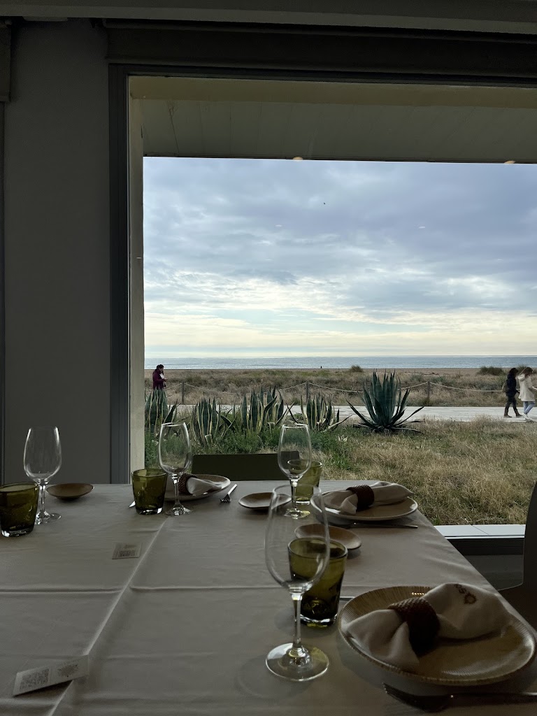 Solraig by Tibu-Ron — Mas recientes