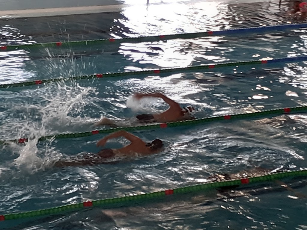 Piscina Municipal de Tarifa — Piscina