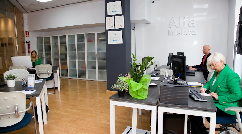 Alfa Mislata Inmobiliaria