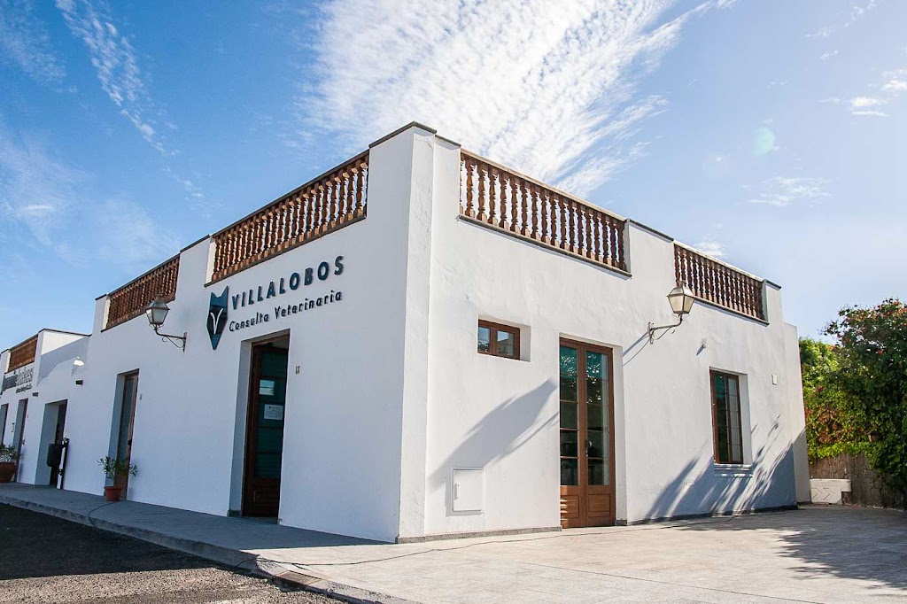 Villalobos Consulta Veterinaria — Del propietario