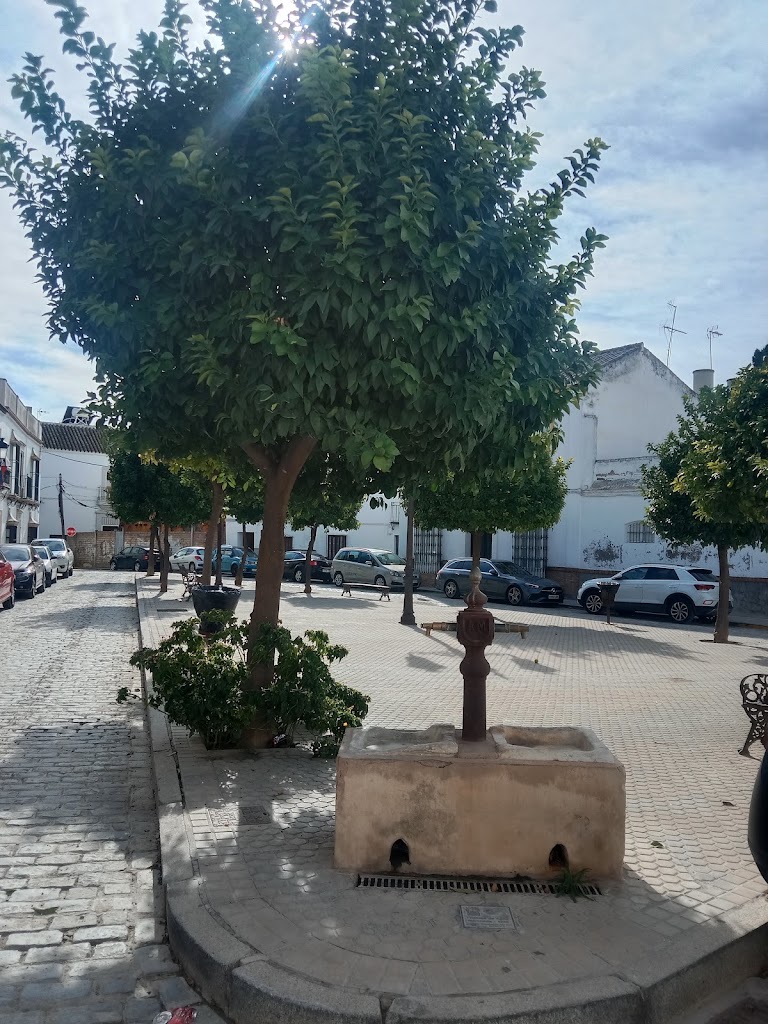 Plaza Siete Revueltas.