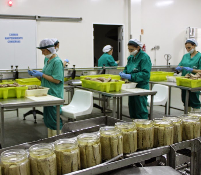 La Chanca Salazones, Conservas y Ahumados (FABRICA)