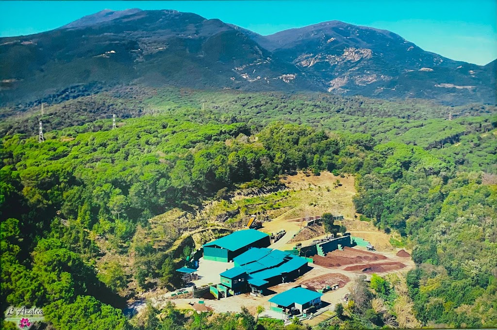 L'Azalea - Substrats per a professionals