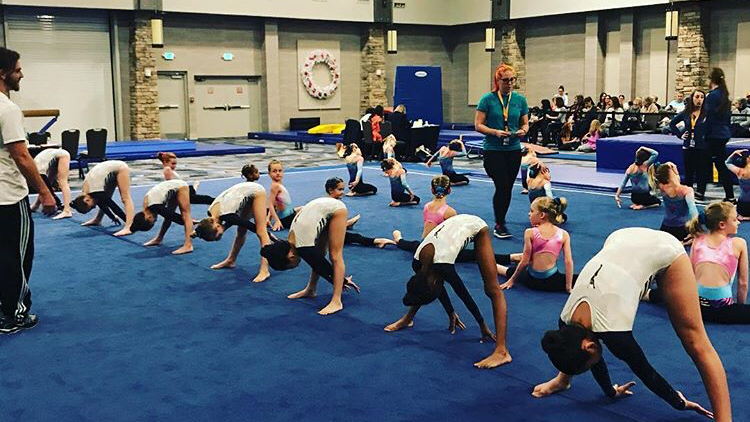  Salute Gymnastics Academy