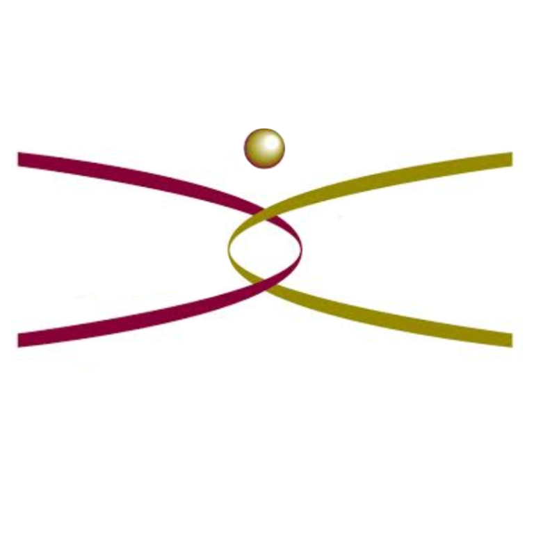  Interactive Fitness Gym & MMA