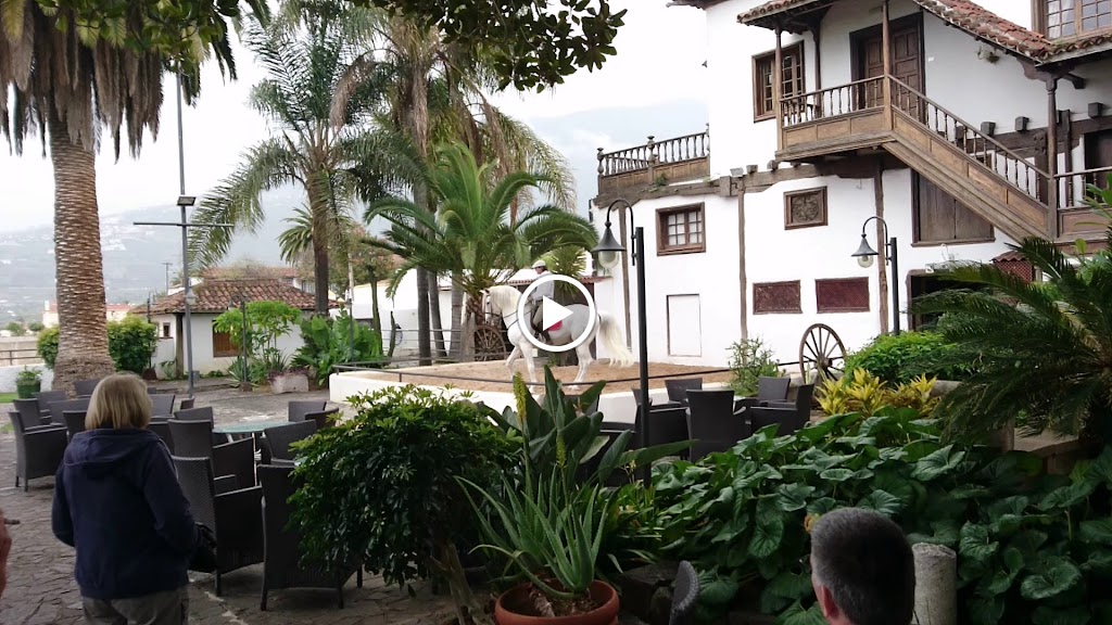 Museo Abaco — Videos