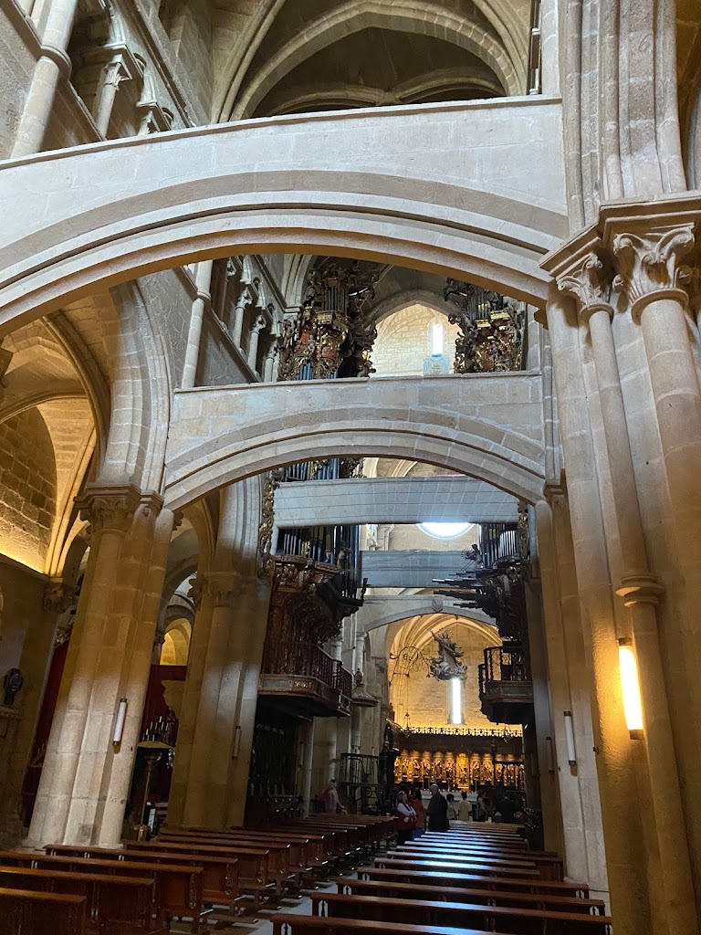 Visitas Guiadas Casco Historico Tui