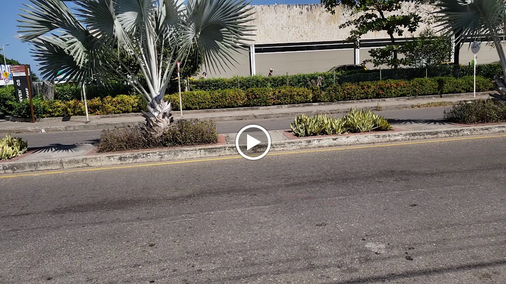Videos