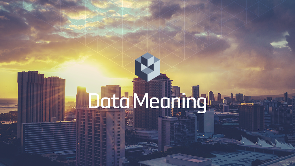 Data Meaning Services Group Inc