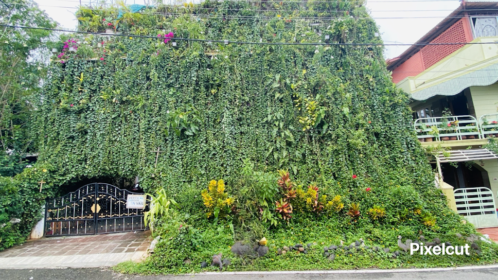 Vertical Garden Home Stay