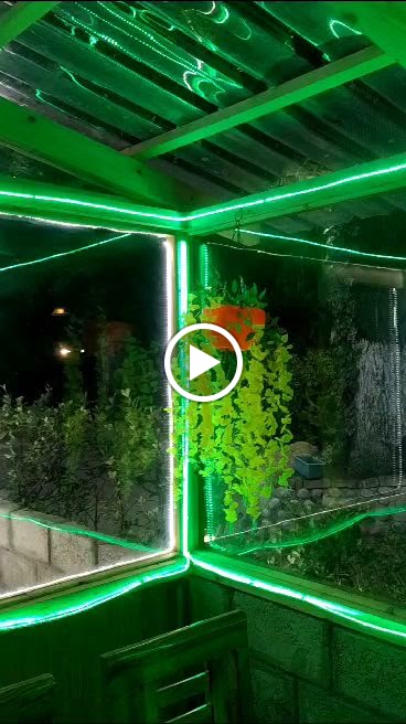 Videos