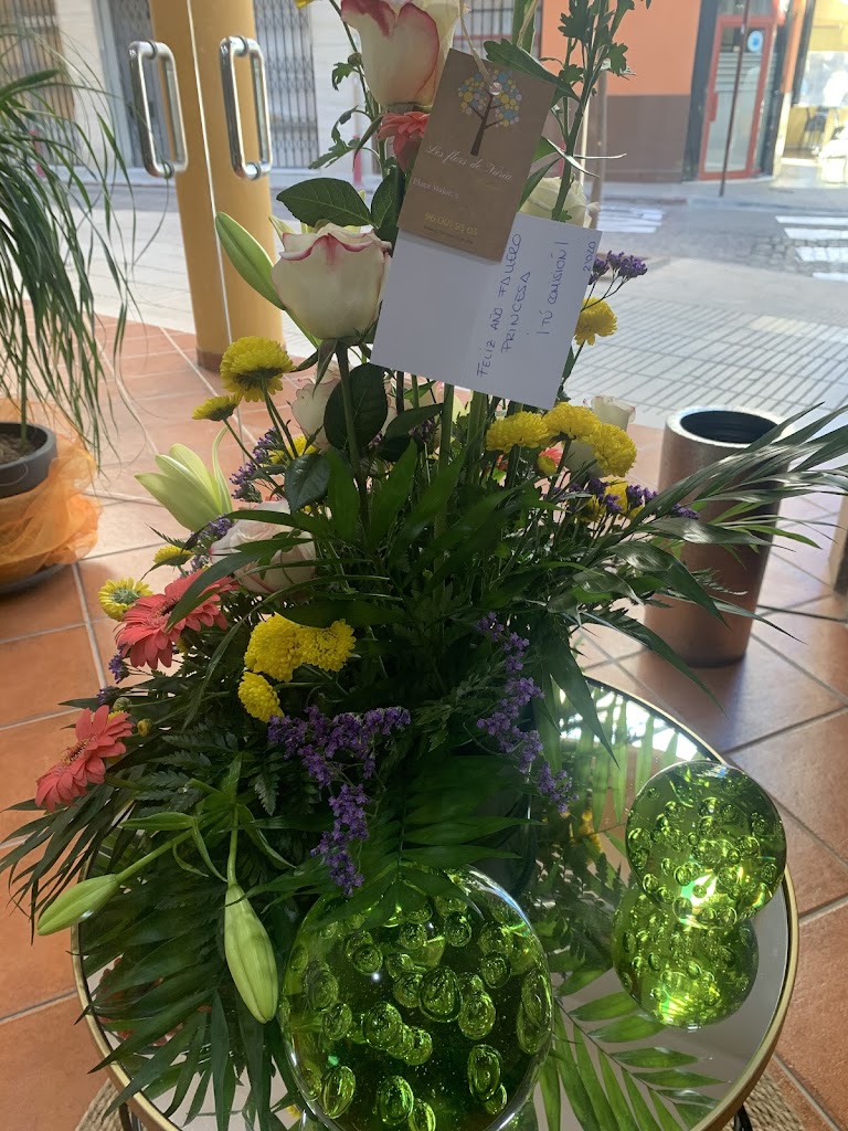 Sonia y Patri by Look's