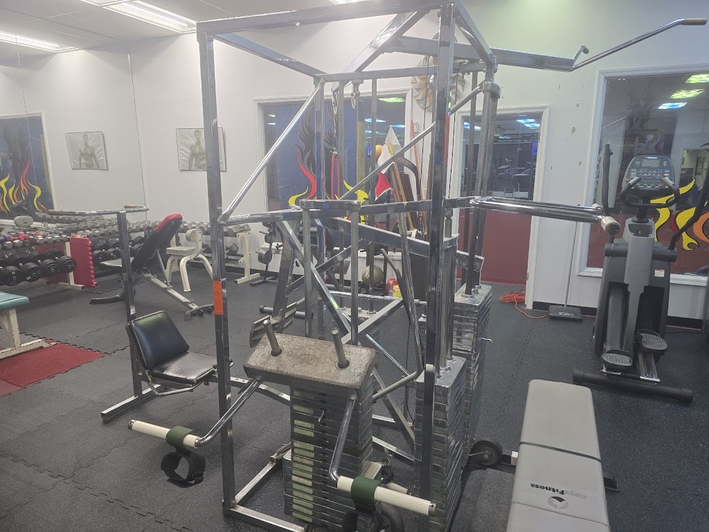  American Phoenix Karate