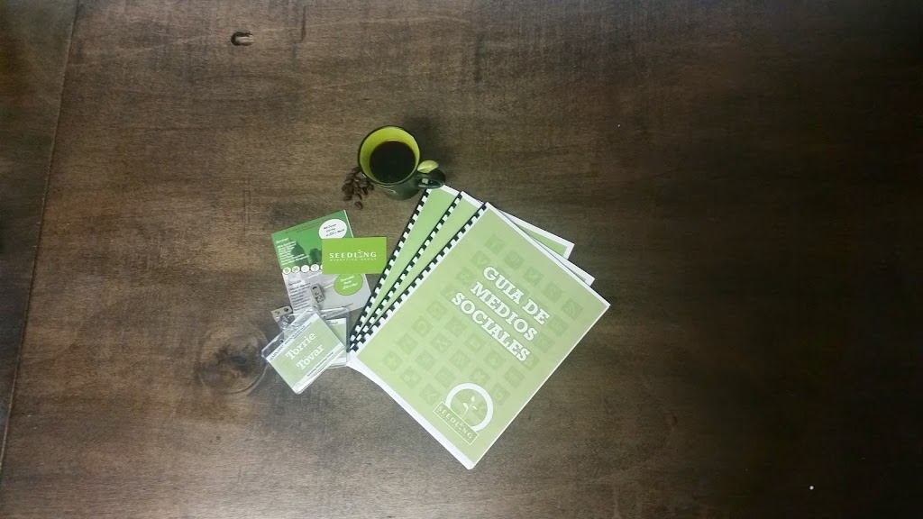 Seedling Marketing Group Llc