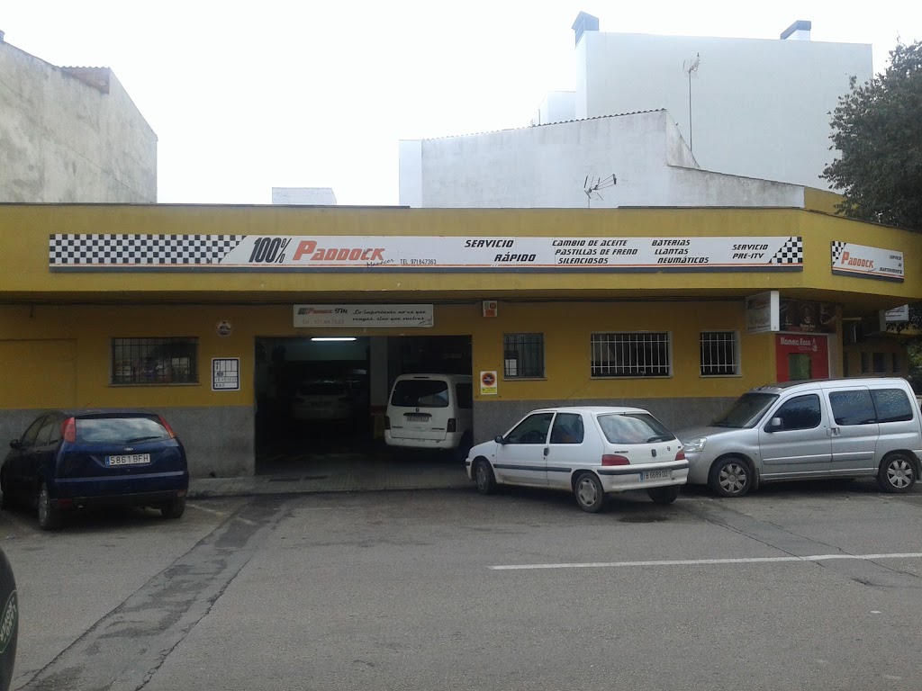 Cent Per Cent Paddock