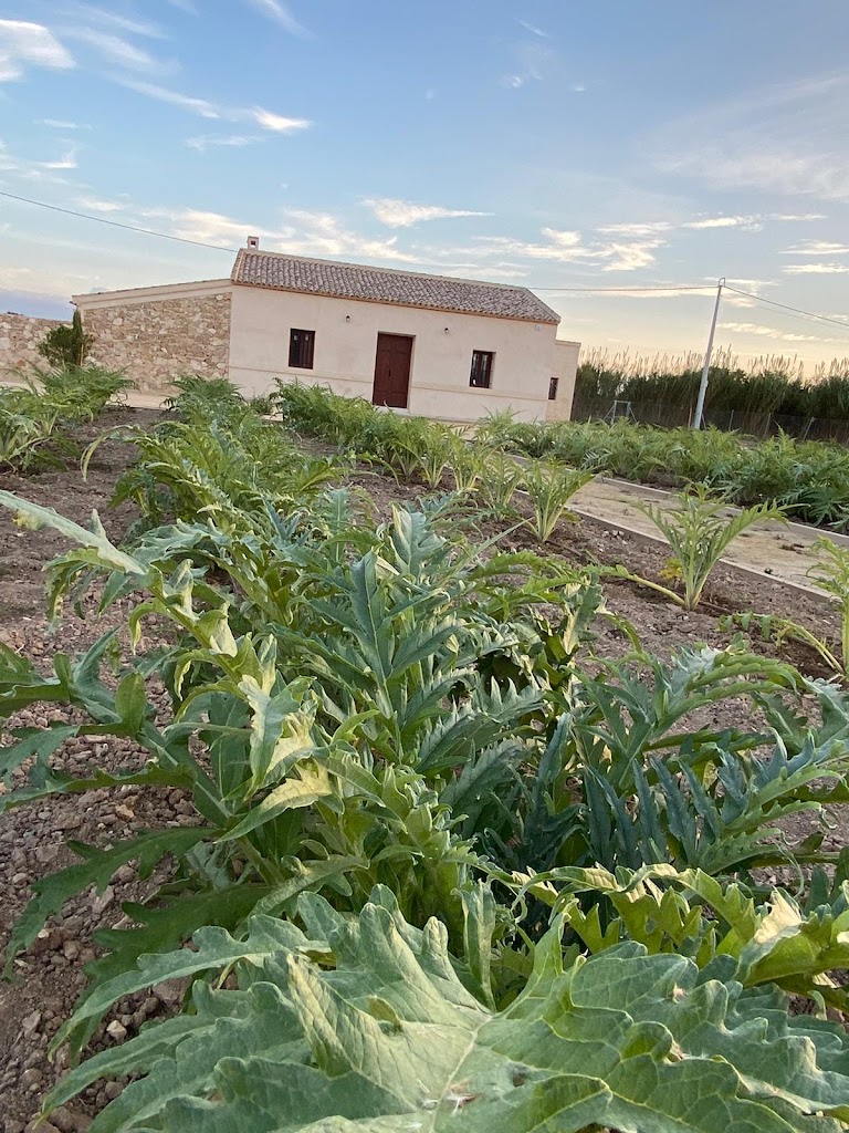 Ecomuseo de Almoradi