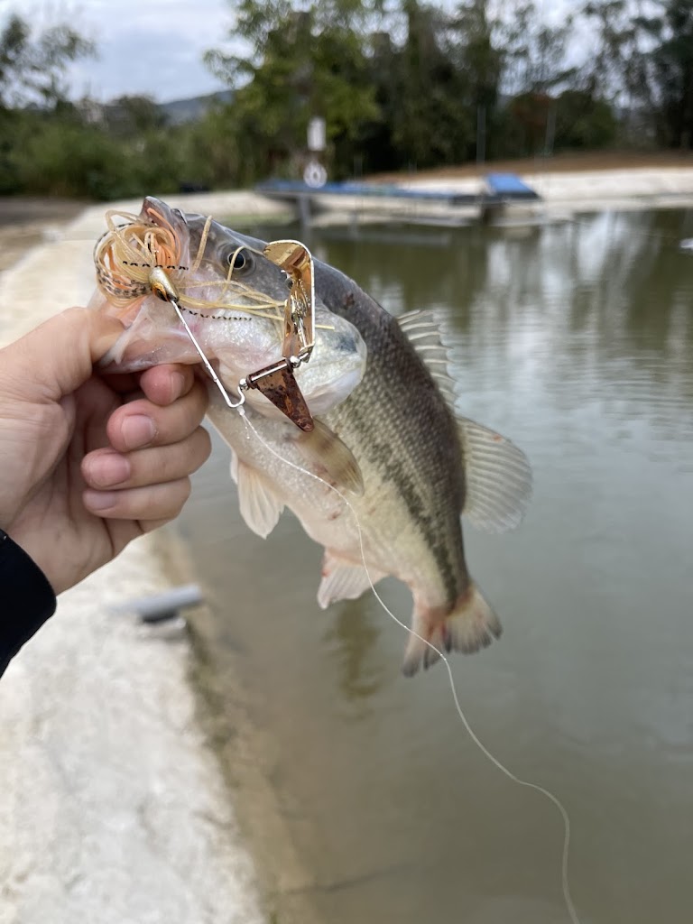 伯公休閒魚池 的照片