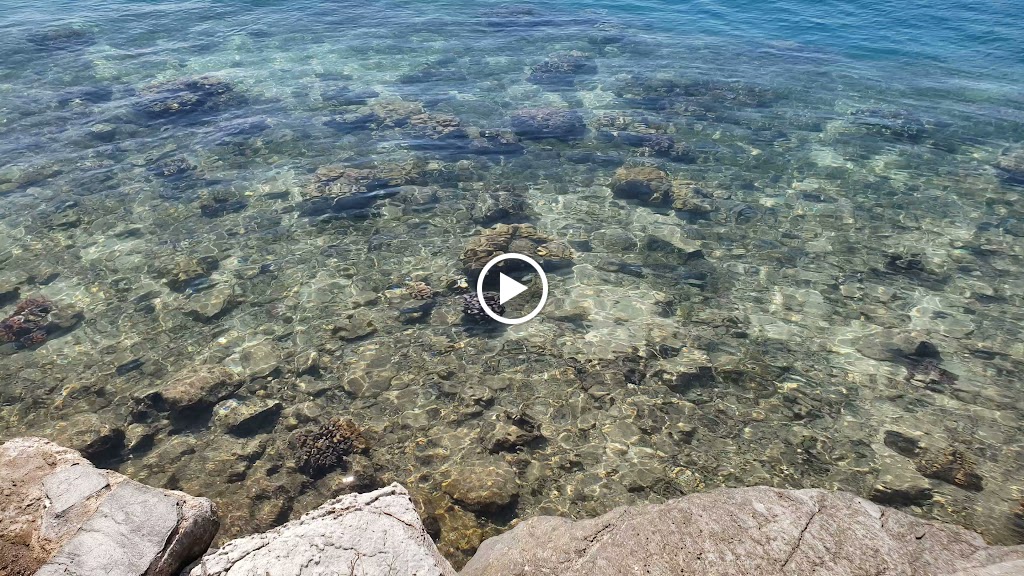 Videos