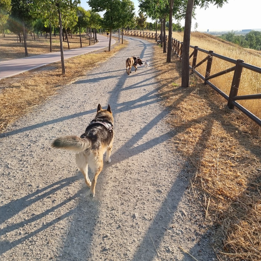 Parque canino Los Miradores