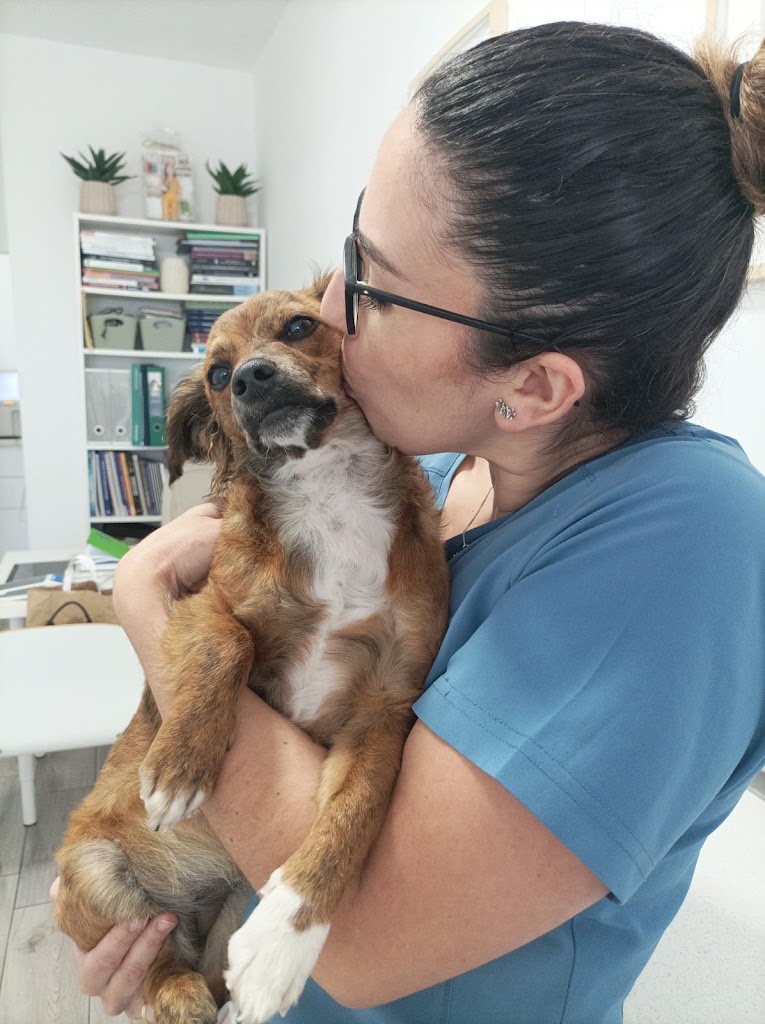 Clinica Veterinaria DermaBaena — Del propietario
