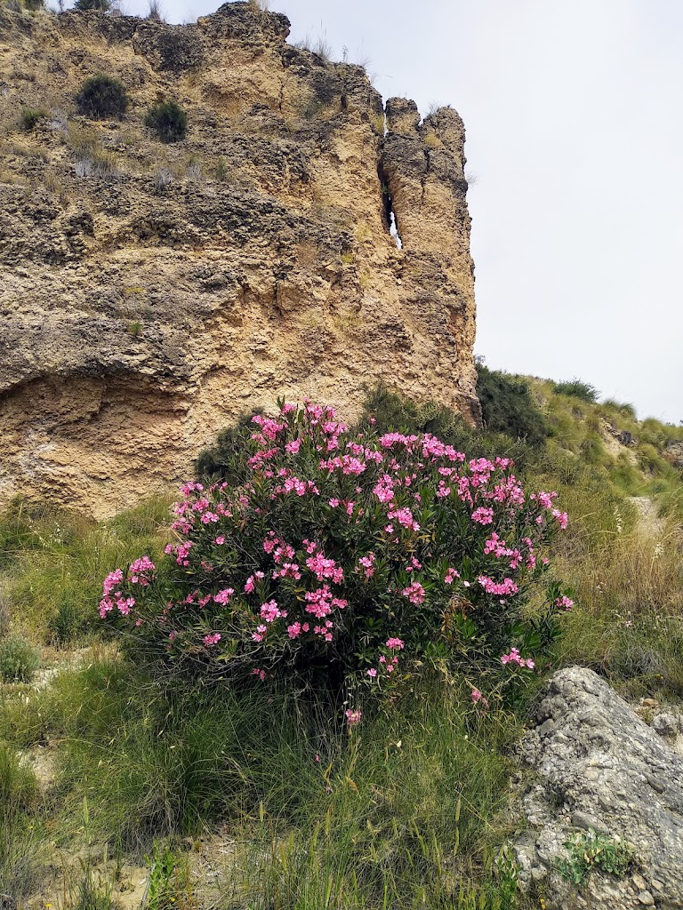 sendero de la Rambla del Chorro