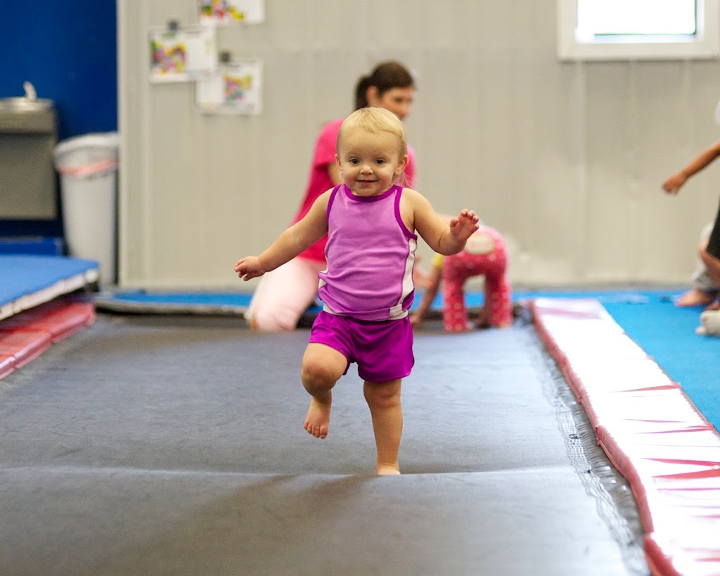  Mid Michigan Gymnastics USA