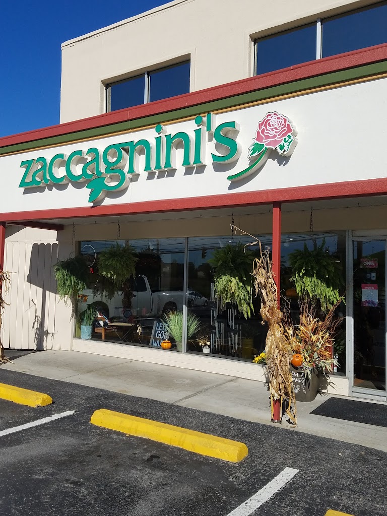 Zaccagnini Morgantown Florist