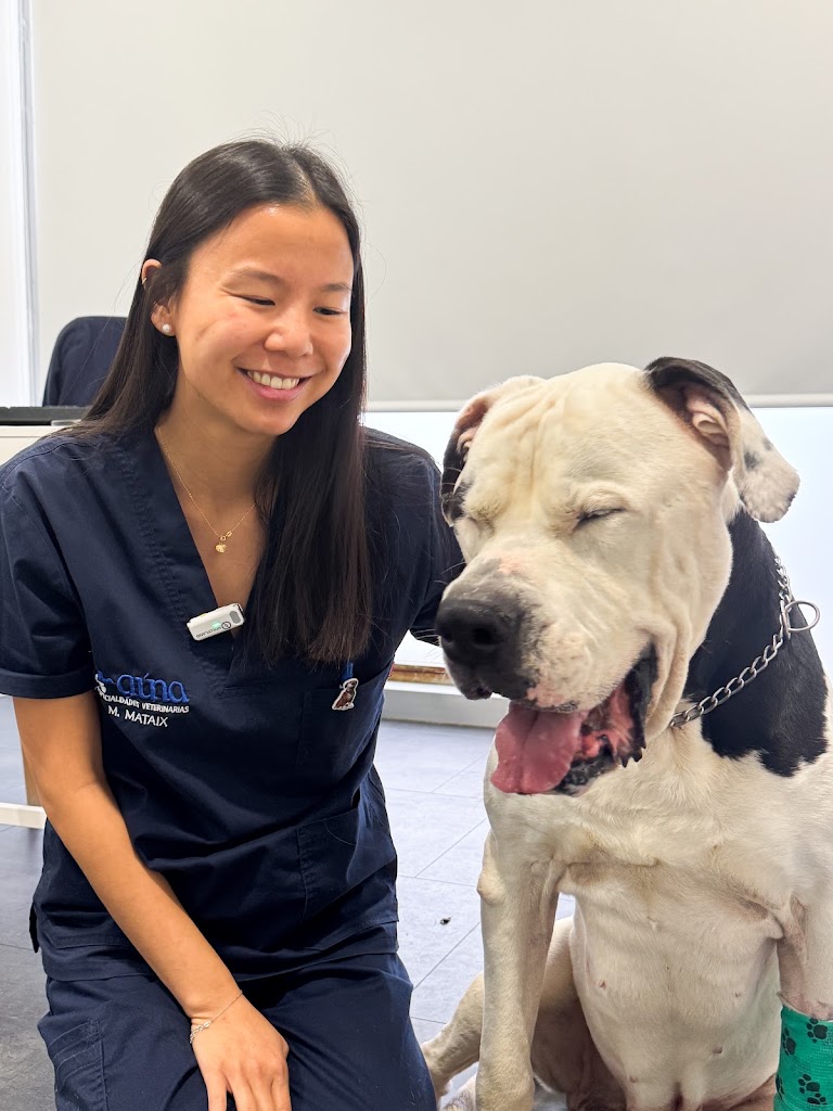 Auna especialidades veterinarias — Perro