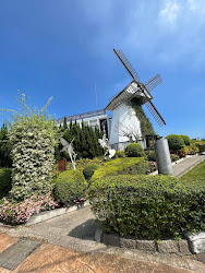 642aba2da99b7dfe5fea690d 的照片