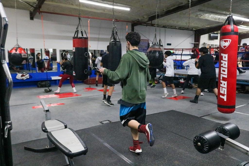  Gladiators Fight Club