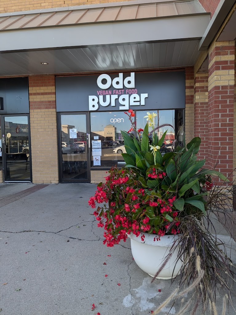 Odd Burger