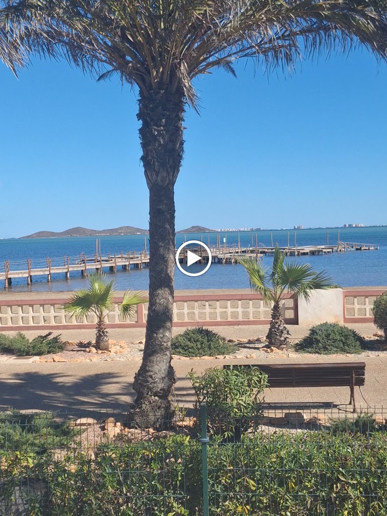 Restaurante /cafeteria La Playa — Videos