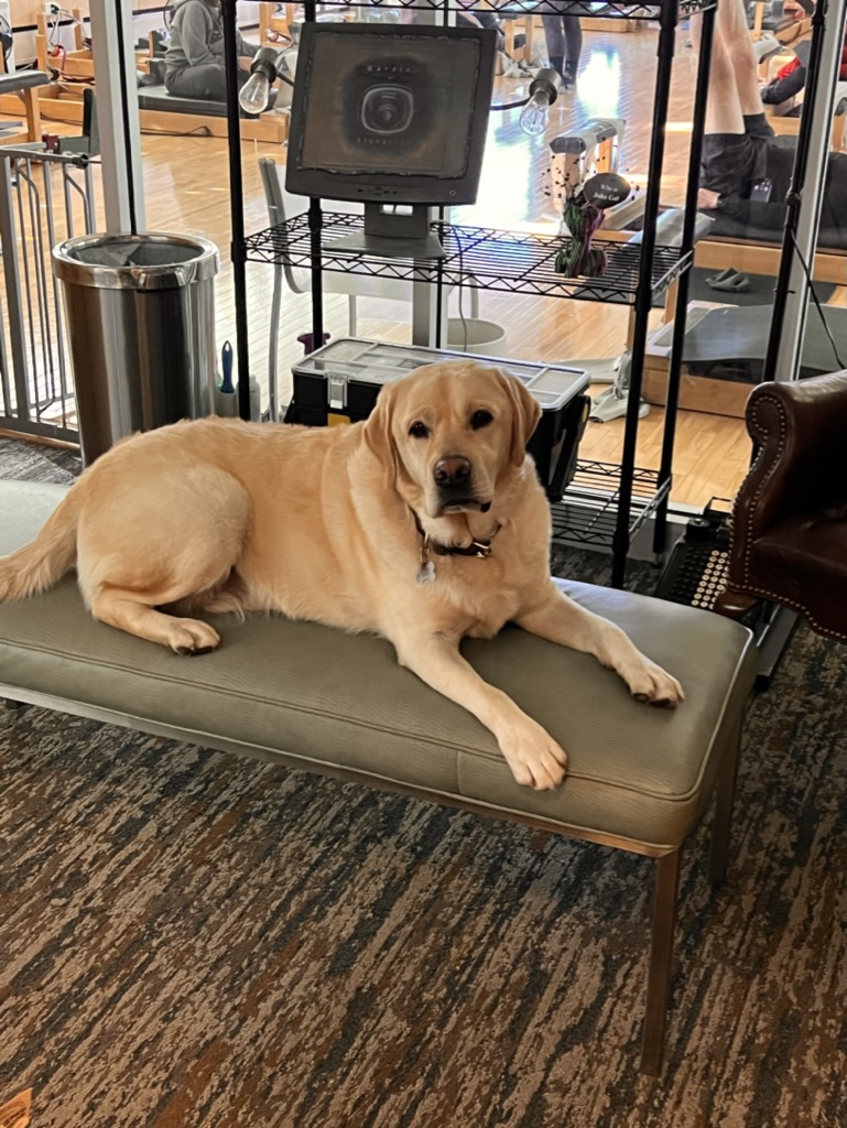  Artistic Body Development