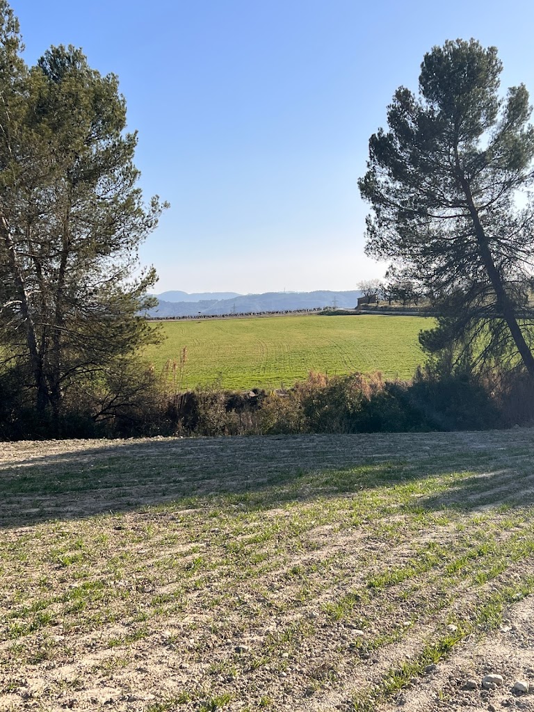 Cami de les Vinyes