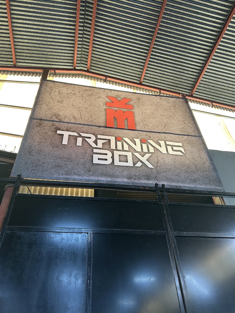 MKTRAINING BOX — Mas recientes