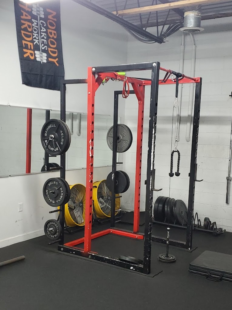  Elite Fitness Training